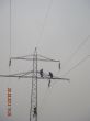 DSCN4408.JPG